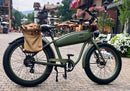Wildsyde 750W Best 20Ah Retro Cruiser  Electric Bike