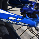 Voltaic 750W Flying Fox 48V Youth  20''  Electric Dirt Bike