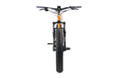 HPC 750W Titan Step Over All Terrain Electric Bike