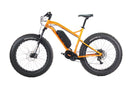 HPC 750W Titan Step Over All Terrain Electric Bike