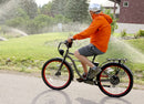Wildsyde 500W Roam 20Ah Retro Cruiser Electric Bike