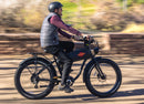 Wildsyde 750W Best 20Ah Retro Cruiser  Electric Bike