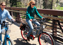 Wildsyde 500W Roam 20Ah Retro Cruiser Electric Bike