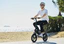 Go Power 400W GODASH 18Ah Fold Compact Electric Bike