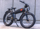 Wildsyde 750W Best 20Ah Retro Cruiser  Electric Bike