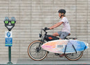 Wildsyde 750W Shadow 20Ah Retro Cruiser Electric Bike
