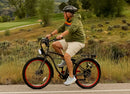 Wildsyde 500W Roam 20Ah Retro Cruiser Electric Bike
