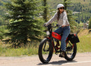 Wildsyde 750W Best 20Ah Retro Cruiser  Electric Bike