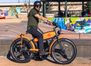 Wildsyde 750W Best 20Ah Retro Cruiser  Electric Bike