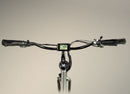 Wildsyde 500W Roam 20Ah Retro Cruiser Electric Bike