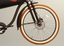 Wildsyde 750W Shadow 20Ah Retro Cruiser Electric Bike