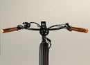 Wildsyde 750W Shadow 20Ah Retro Cruiser Electric Bike