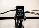 Wildsyde 750W Shadow 20Ah Retro Cruiser Electric Bike