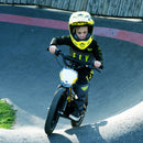 Voltaic 350W Kids 16'' Lion Pro Electric Dirt Bike