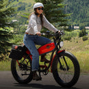 Wildsyde 750W Best 20Ah Retro Cruiser  Electric Bike