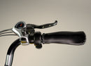 Wildsyde 500W Roam 20Ah Retro Cruiser Electric Bike
