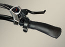 Wildsyde 750W Shadow 20Ah Retro Cruiser Electric Bike