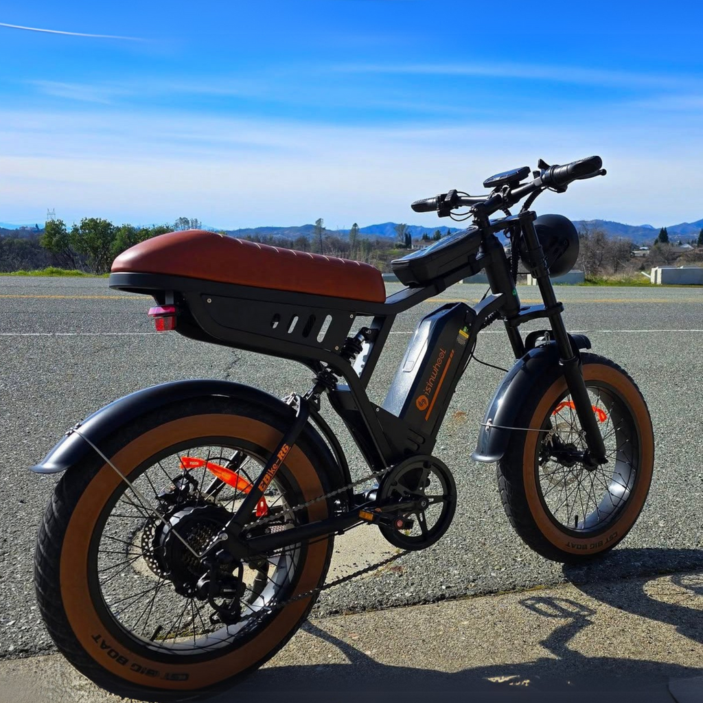 e-mountainbike r6 neo Isinwheel R6 1000W Retro Electric Bike