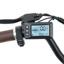 Isinwheel 500W U2 13Ah Cruiser Electric Bike