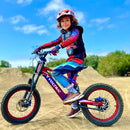 Voltaic 500W Flying Fox Youth 18''  Electric Dirt Bike