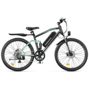 Isinwheel 750W M50 13Ah  Mountain Electric bike