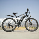 Isinwheel 750W M50 13Ah  Mountain Electric bike