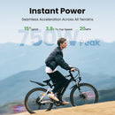 Isinwheel 750W M50 13Ah  Mountain Electric bike