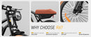 Isinwheel 1000W R6 13Ah Retro Moped Electric Bike
