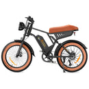 Isinwheel 1000W R6 13Ah Retro Moped Electric Bike