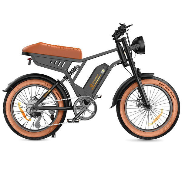 Isinwheel 1000W R6 13Ah Retro Moped Electric Bike