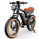 Isinwheel 1000W R6 13Ah Retro Moped Electric Bike