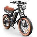 Isinwheel 1000W R6 13Ah Retro Moped Electric Bike