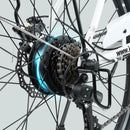 Isinwheel 500W U2 13Ah Cruiser Electric Bike