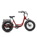 Addmotor 750W/15Ah Landtan All Terrain Electric Trike