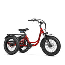 Addmotor 750W/15Ah Landtan All Terrain Electric Trike