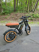 Isinwheel 1000W R6 13Ah Retro Moped Electric Bike