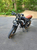 Isinwheel 1000W R6 13Ah Retro Moped Electric Bike