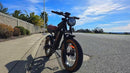 Isinwheel 1000W R6 13Ah Retro Moped Electric Bike