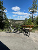 Isinwheel 500W U2 13Ah Cruiser Electric Bike
