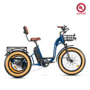 Addmotor 750W 48V Grandtan M-340 Trike Electric Bike