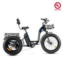 Addmotor 750W 48V Grandtan M-340 Trike Electric Bike
