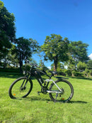Isinwheel 750W M50 13Ah  Mountain Electric bike