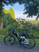 Isinwheel 750W M50 13Ah  Mountain Electric bike
