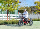 Emojo 750W Bison Pro Urban Cruiser Electric Bike