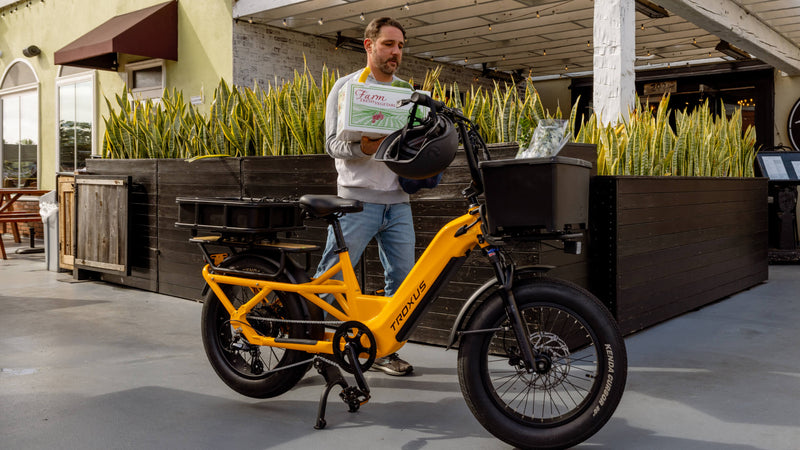 Troxus 750W Lynx Cargo Electric Bike