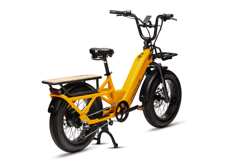 Troxus 750W Lynx Cargo Electric Bike