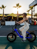 Troxus 500W Lynx Folding Electric Bike