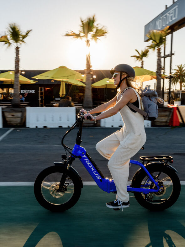 Troxus 500W Lynx Folding Electric Bike