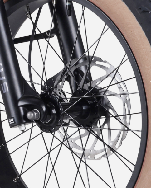 Troxus 750W 20" Lynx Step-Thru Fat Tire Electric Bike