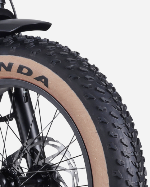 Troxus 750W 20" Lynx Step-Thru Fat Tire Electric Bike